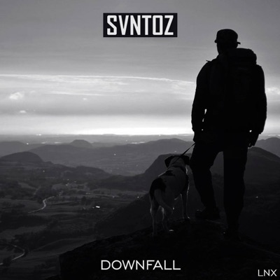 Downfall - Single