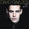 David Cavazos - Te Amo (Yolanda)