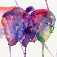 24 Hours - Single - Jackintheway