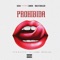 Prohibida (feat. Cangri & Malito Malozo) - Sashi lyrics