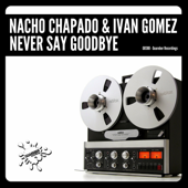 Never Say Goodbye