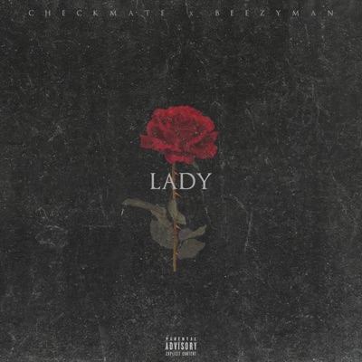 Lady (feat. Beezyman) - Single