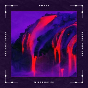 Wildfire - Single