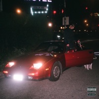 my best friend is my bedroom wall - Xander Owls