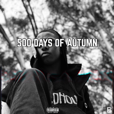 500 Days of Autumn - Single