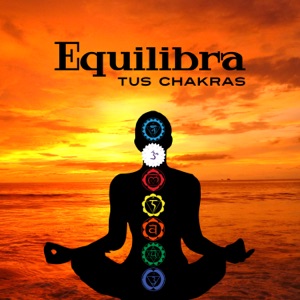 Equilibra Tus Chakras - 7 Chakras de Apertura, Ayurveda, Reiki Zen, Meditación