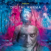 Digital Karma artwork