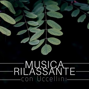 Musica rilassante con uccellini: Suoni della natura per dormire