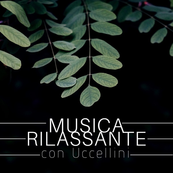 Musica rilassante con uccellini: Suoni della natura per dormire