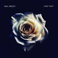 Like That (Treat Me Like Somebody Remix) - Single - Mal Meezy