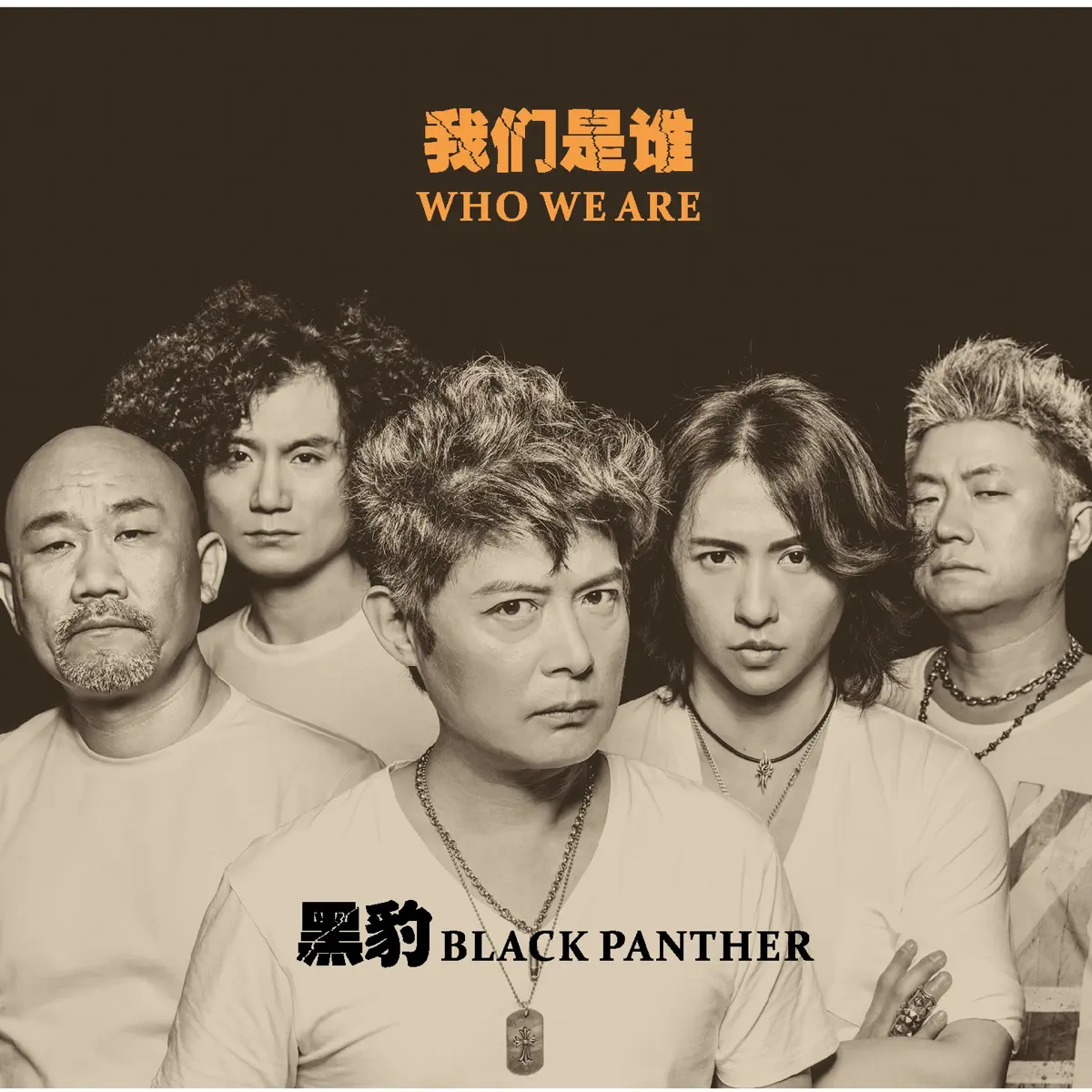 黑豹樂隊 - 我们是谁 (2013) [iTunes Plus AAC M4A]-新房子