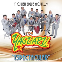 Los Yaguaru de Angel Venegas - Si Tu Me Dejas