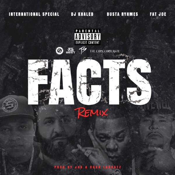 Facts (Remix) [feat. DJ Khaled, Busta Rhymes & Fat Joe] - Single - International Special