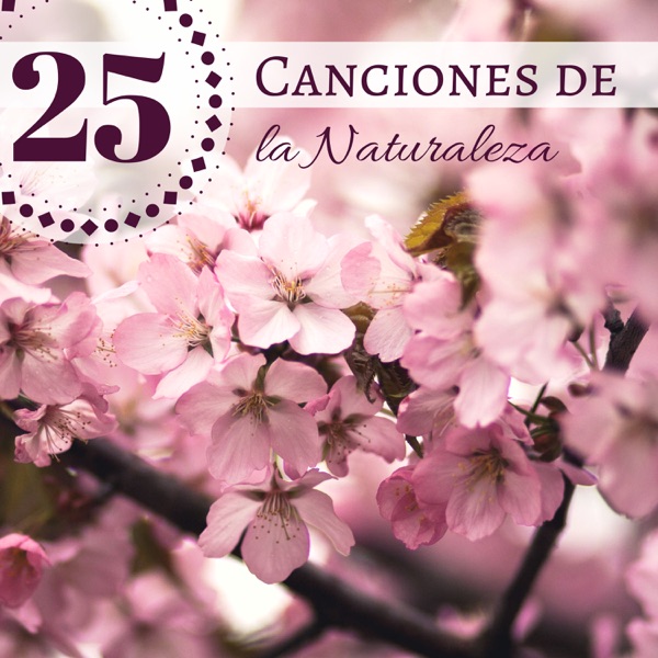 25 Canciones de la Naturaleza - Sonidos de la Naturaleza y Ruido Blanco para Relajación Profunda y Meditación