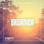 Organica #17 artwork