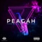 O Novo Dono do Pedaço - Peagáh lyrics