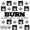 Burn (feat. El Monte Rey) - Single