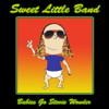 Babies Go Stevie Wonder - Sweet Little Band