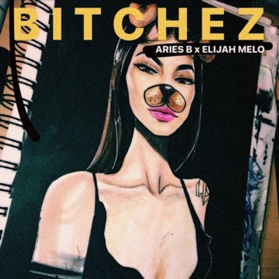 Bitchez (feat. Aries. B) - Single