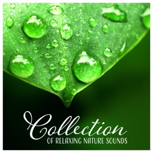 Collection of Relaxing Nature Sounds - Ideal for Sleep, Relaxation, Yoga, Meditation and Helpful for Tinnitus Sufferers