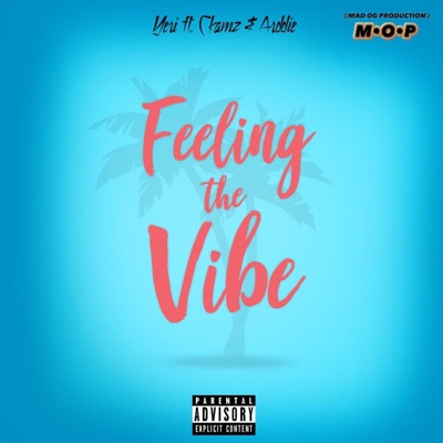 Feeling the Vibe (feat. Ckamz & Arddie) - Single