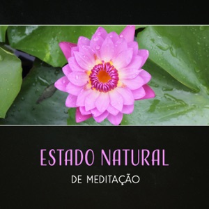 Estado Natural de Meditação - Medite e Relaxe em Atmosfera de Sons da Natureza, Obter Energia dos Mantras de Cura