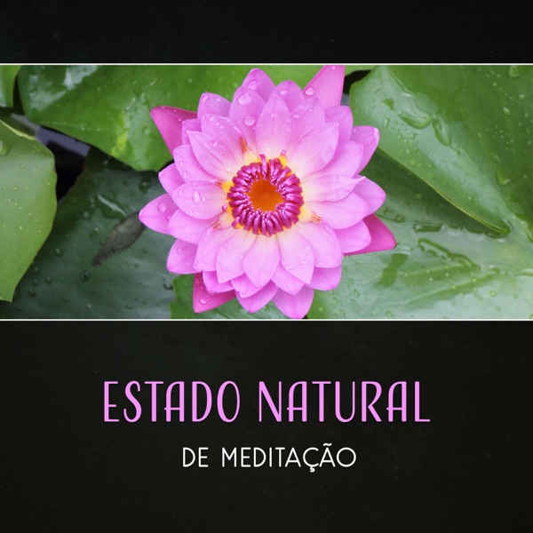Estado Natural de Meditação - Medite e Relaxe em Atmosfera de Sons da Natureza, Obter Energia dos Mantras de Cura