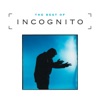 The Best of Incognito, 2000