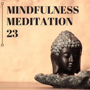 Mindfulness Meditation 23 - Sounds for Contemplative Practices Against Stress and Anti Anxiety Music