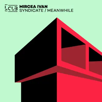 Syndicate / Meanwhile - Single by Mircea Ivan album reviews, ratings, credits