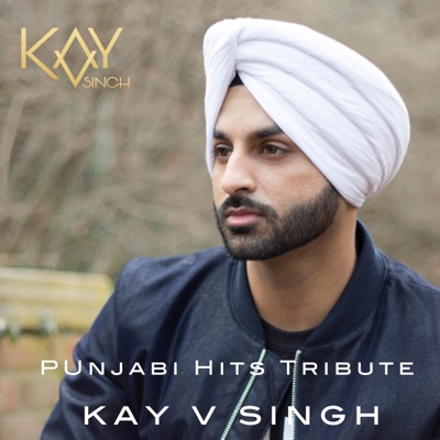 Punjabi Hits Tribute - Single