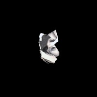 Mundo Negro - Robert S