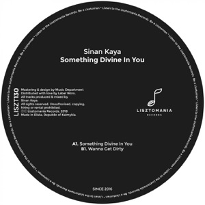 Something Divine in You - Single