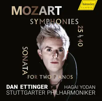 Symphony No. 40 in G Minor, K. 550: II. Andante by Stuttgarter Philharmoniker & Dan Ettinger song reviws