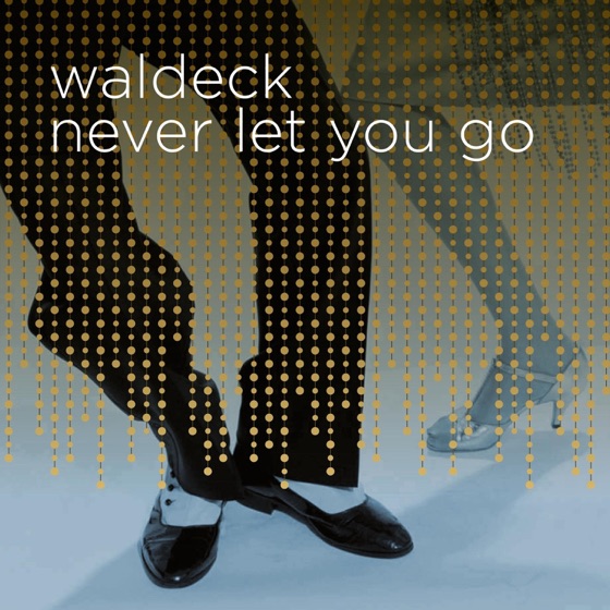Cover artwork for Never Let You Go (feat. Patrizia Ferrara)