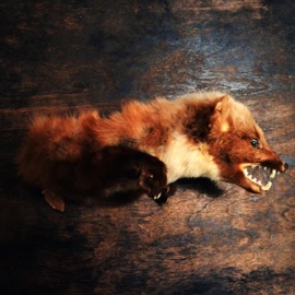 Aimless Glory Surplus