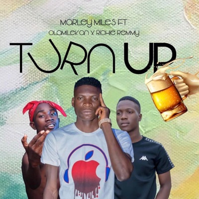 Turn Up (feat. Olamilekan & Richie Remmy) - Single