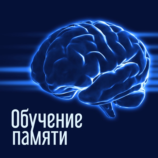 Обучение памяти: Пробудите свой ум и улучшите свою концентрацию, 30 успокаивающий фон для беспокойства и расслабления