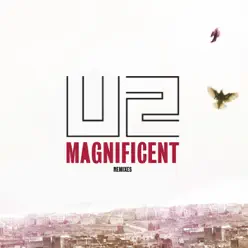 Magnificent (Adam K and Soha Club Mix) - Single - U2