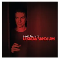 U Know Who I Am - Single - David Fonseca