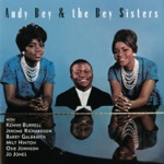 Andy & The Bey Sisters - Willow Weep for Me