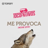 Me provoca (Noche loca) artwork