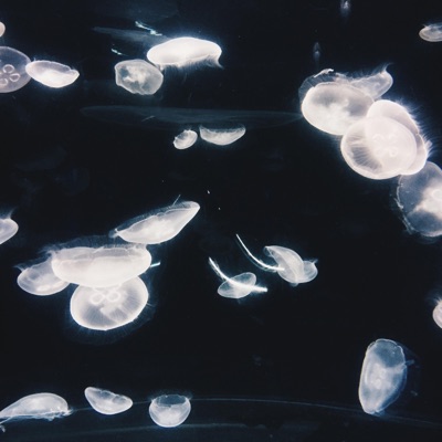 Time Series - EP