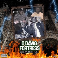 Fortress - Single - O Dawg