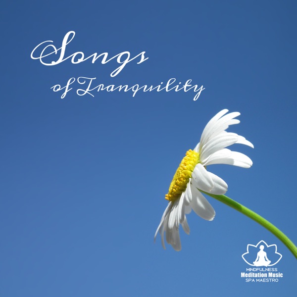 Songs of Tranquility: 50 Most Popular Music for Sleep Therapy, Relaxation, Healing Massage & Spa, Nature Sounds with Piano Music