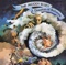 Tortoise and the Hare - The Moody Blues lyrics