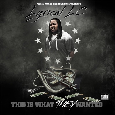 What They Wanted - Single