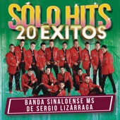 Banda Sinaloense MS de Sergio Lizarraga - Amor Express