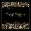 Project Pitchfork - In Your Heart