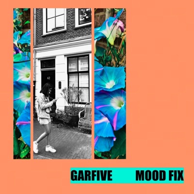 Mood Fix - Single